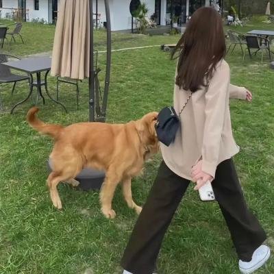 自由协议