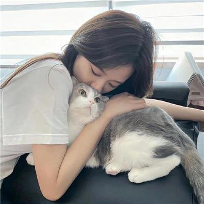如果猫从世界上消失